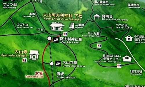 化石草的功效与作用治肾结石吗-环草石斛的功效与作用网化石草的作用和功效知识网站,分享环草石斛的功效与作用图片大全