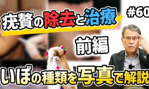 化石草的功效与作用治肾结石吗-环草石斛的功效与作用网化石草的作用和功效知识网站,分享环草石斛的功效与作用图片大全