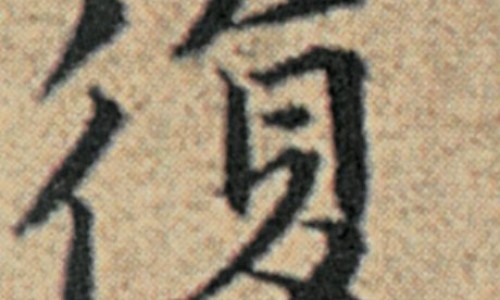 环草石斛的功效与作用网化石草的作用和功效知识网站,分享环草石斛的功效与作用图片大全